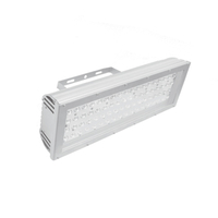 Светильник ДО01-60-001 Light Ray 60Вт IP65 Ксенон 0100060223-21