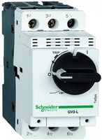 АВТОМАТИЧЕСКИЙ ВЫКЛЮЧАТЕЛЬ С МАГНИТНЫМ РАСЦЕПИТЕЛЕМ 0,63A | GV2L04 Schneider Electric