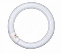 Лампа люминесцентная L 22W/840 C 22Вт кольцевая 4000К G10q OSRAM 4008321581082