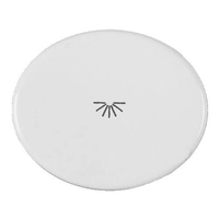 Клавиша с символом СВЕТ для кнопок Tacto белый ABB 5504.2 BL