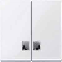 ДВОЙНАЯ КЛАВИША С ОКНАМИ ДЛЯ СИМВ. | MTN438525 Schneider Electric