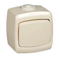 Переключатель 1-кл. ОП Рондо IP44 250В 10АХ сл. кость SchE VA610-126B-SI Schneider Electric