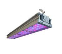 Светильник светодиодный ФИТО-204,4W IP67 228ммоль/с КСС Г UN - УТ000002578 Технологии света
