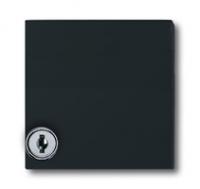Промежуточная плата с крышкой замком для розеток серий Duro SI/Reflex SI (IP44) Allwetter 44 антрацит - 2CKA001710A1977 ABB