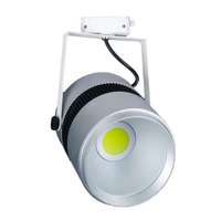 Светильник TSF 12-22-W-01 Новый Свет 400718 (NLCO)