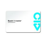 Карта доступа | 8300-0-0387 2CKA008300A0387 ABB