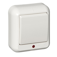 Выключатель 1-кл. ОП Прима 6А IP20 с индик. сл. кость (опт. упак) SchE A16-046-S Schneider Electric