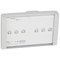 Светильник B66(LEDs) 1ч - 250Лм рассеиватель прозрачный 661543 Legrand