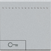 Клавиша "Ключ" размер 2мод. LivingLight алюм. Leg BTC NT4915M2FN Legrand