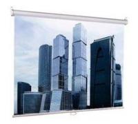 Экран 200х200см Eco Picture LEP-100103 1:1 настенно-потолочный рулонный LUMIEN 684251
