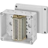 Коробка распределительная ОП 139х119х70мм IP65 RK9064 с ряд. клемн. 14к. HENSEL 6000031