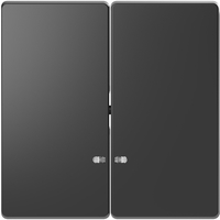 Клавиша двойная D-Life с линзой для LED модуля антрацит SD - MTN3420-6034 Schneider Electric