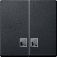 Антрацит Две клавиши с окошком.для световой индикации Merten SM | MTN437514 Schneider Electric
