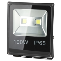 Прожектор светодиодный СДО LPR-100-6500К-М 100Вт 6500К IP65 | Б0017304 ЭРА (Энергия света)