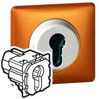 Механизм выключателя 1-кл. 2п 2мод. СП Celiane 6А IP41 230В с ключом 2 полож. сер. Leg 067009 Legrand