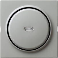 Выкл 1-клавиш. с подсветкой LED мех-м накладкой 10А 220-250В с/у серый глянц. возвратно-нажимной IP20 Gira S-Color | 012042