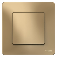 Переключатель проходной 1-кл. СП Blanca 10А IP20 (сх. 6) 250В титан SchE BLNVS010604 Schneider Electric