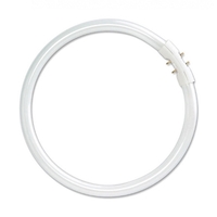 Лампа люминесцентная кольцевая ЛЛ 22вт T5 FC 22/840 2Gx13 белая Osram - 4050300528465