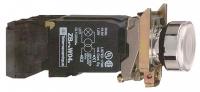 Кнопка белая с трансформатором 120В - XB4BW3135 Schneider Electric