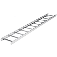 Лестничный лоток 80х100, L3000, нержавеющий - LL8010INOX DKC (ДКС)
