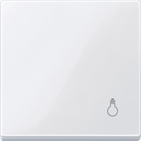КЛАВИША С ПИКТОГР.«СВЕТ» АКТ-БЕЛ | MTN438925 Schneider Electric