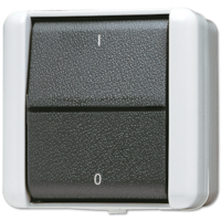 Выключатель двухполюсный IP44 JUNG 802W