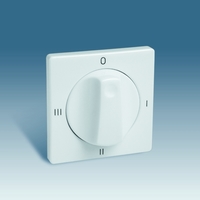 Накладка на 75233-39 Simon82/82Nature шампань 82079-34