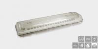 Указатель аварийный светодиодный MIRAGE BS-1660-2x10 Т8 LED централизованный накладной IP66 | a7280 Белый свет