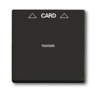 Плата центральная (накладка) для механизма карточного выкл. 2025 U Basic 55 chateau-black ABB 2CKA001710A3933 1710-0-3933
