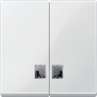 ДВОЙНАЯ КЛАВИША С ОКНАМИ ДЛЯ СИМВ. | MTN438519 Schneider Electric