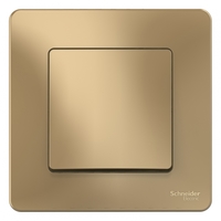 Выключатель 1-кл. СП Blanca 10А IP20 (сх. 1) 250В титан SchE BLNVS010104 Schneider Electric