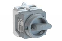 Переключатель кулачковый в боксе ONE20M2G ABB 1SCA135532R1001