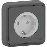 Розетка СП Mureva Styl защ. шторки с заземл. IP55 антрацит SchE MUR36132 Schneider Electric