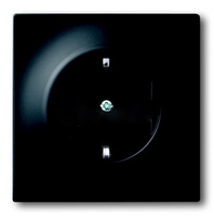 Розетка со шторками черная IMPULS ABB 2013-0-5208