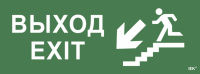 Этикетка самоклеящаяся "Выход/лестница вниз/фигура" ССА 1005 IEK LPC10-1-35-13-VLVNF (ИЭК)