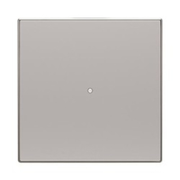 Клавиша одинарная SR-1-85PL free@home SKY серебр. ABB 2CLA852620A1301