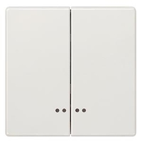 DELTA STYLE Титаново-белый выключатель 2 клавиши с окном 68Х68мм Siemens 5TG7158
