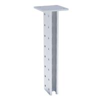 Стойка STRUT двойная 41х41 L2200 EKF stsd414122