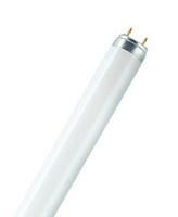 Лампа люминесцентная L 36W/840 LUMILUX XT 36Вт T8 4000К G13 OSRAM 4008321209160