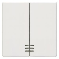 ВЫКЛЮЧАТЕЛЬ 2 КЛАВИШИ С ОКНОМ 55X55MM DELTA I-SYSTEM ТИТАНОВО-БЕЛЫЙ Siemens 5TG6204