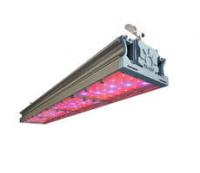 Светильник светодиодный ФИТО-200W IP67 228ммоль/с КСС Г VR - УТ000002576 Технологии света