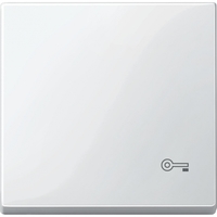 КЛАВИША С ПИКТОГРАММОЙ «КЛЮЧ» БЕЛЫЙ | MTN3303-0319 Schneider Electric