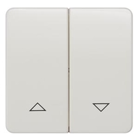 ВЫКЛЮЧАТЕЛЬ 2 КЛАВИШИ С ВВЕРХ/ВНИЗ СИМВОЛАМИ DELTA PROFIL ТИТАНОВО-БЕЛЫЙ Siemens 5TG7814
