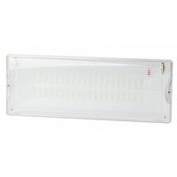 Светильник светодиодный аварийный постоянный 40LED 3ч IP65 NiCD DPA-301-1-65 | Б0051843 ЭРА (Энергия света)