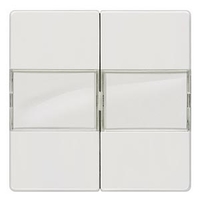 ВЫКЛЮЧАТЕЛЬ 2 КЛАВИШИ С ПОЛЕМ ДЛЯ НАДПИСИ 55X55MM DELTA I-SYSTEM ТИТАНОВО-БЕЛЫЙ Siemens 5TG6212