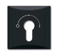 Накладка для выключателя с замком (IP44) Allwetter 44 антрацит - 2CKA001710A1902 ABB 1710-0-1902