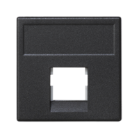 Адаптер на 1 RJ45 коннектор SimonConnect AMP (S110; SL110; SLt) Brand-RexRIT 45х45мм графит K076-14