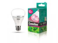 Лампа светодиодная LED10-PL/BIO/E27 для растений 10Вт 220В Camelion 13241
