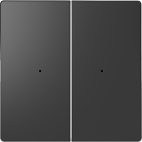Клавиша двойная Merten D-Life PlusLink без символов SD антрацит SchE MTN5220-6034 Schneider Electric