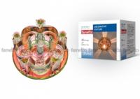 Светильник декоративный встраиваемый DLS-F122 G4 COLOUR/CLEAR "Fiore" без лампы основание стекло цвет радужный отделка кристалл прозр. Fametto 10640